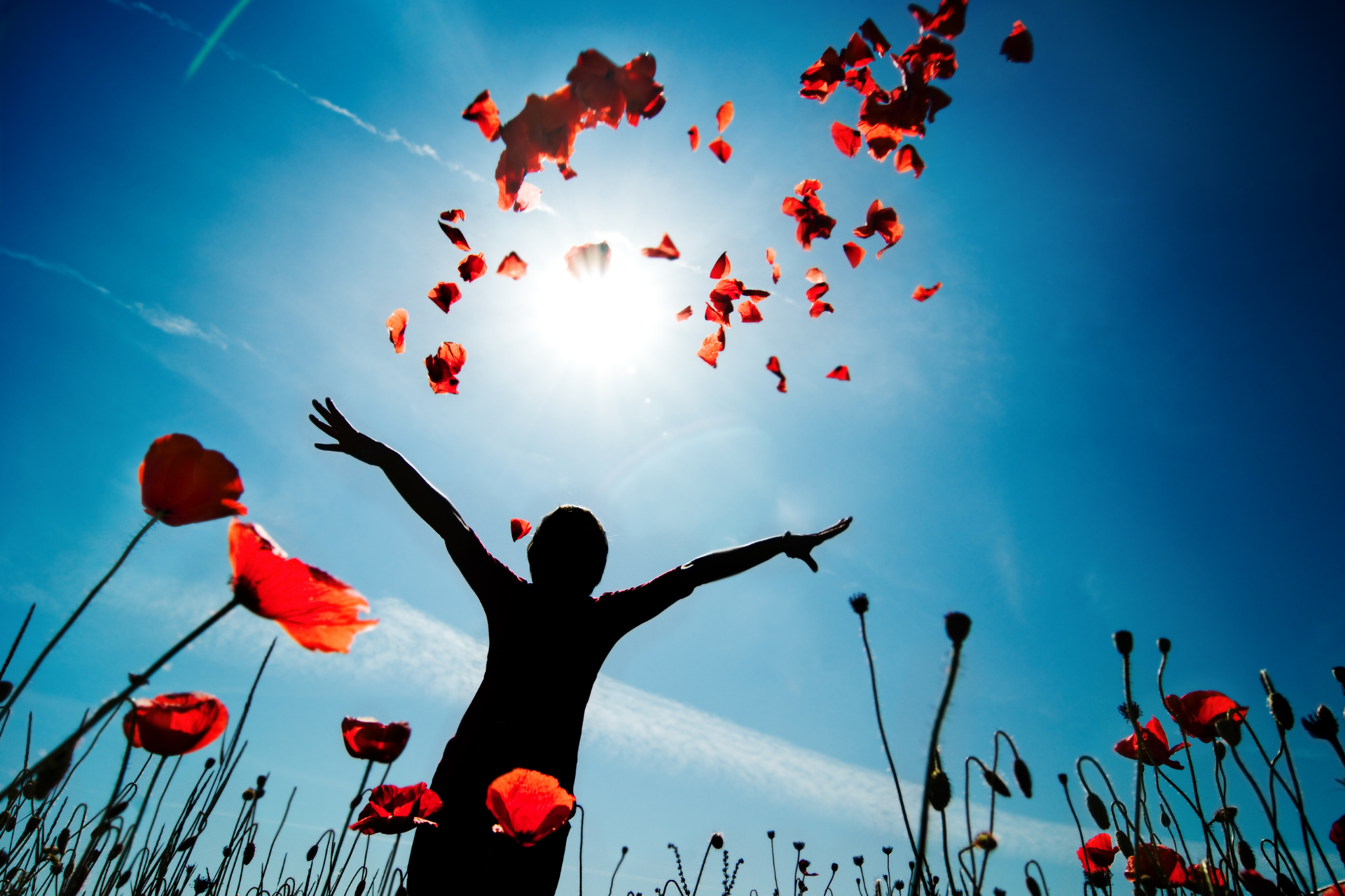 THE TRUE PURPOSE OF LIFE