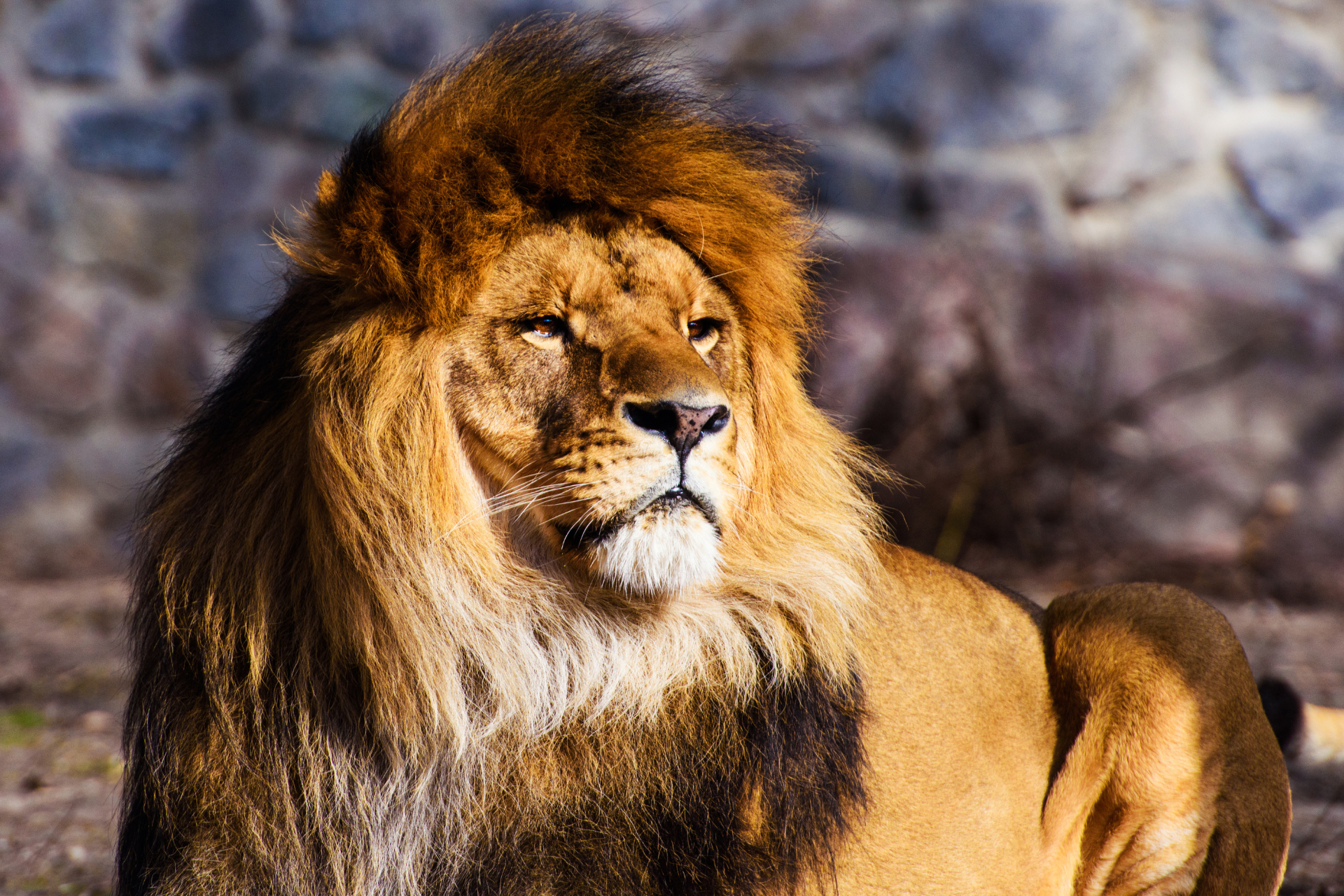 HUMILITY REQUIRES STRENGTH