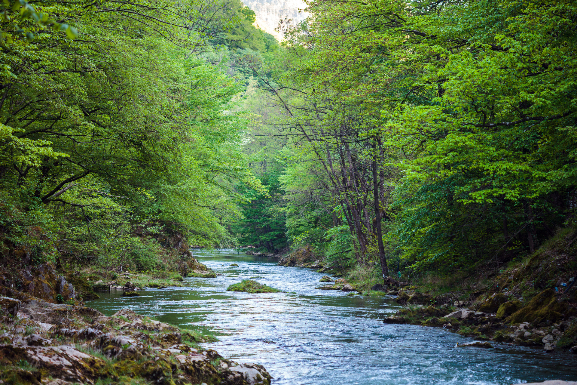 YOU ARE THE FLOWING RIVER