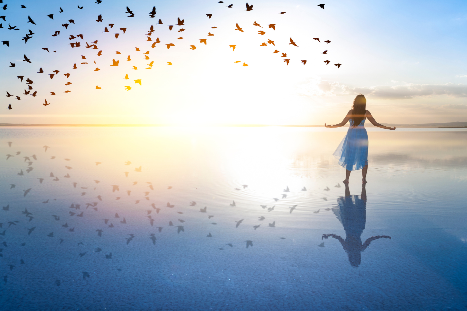 WHAT IS TRUE FREEDOM?