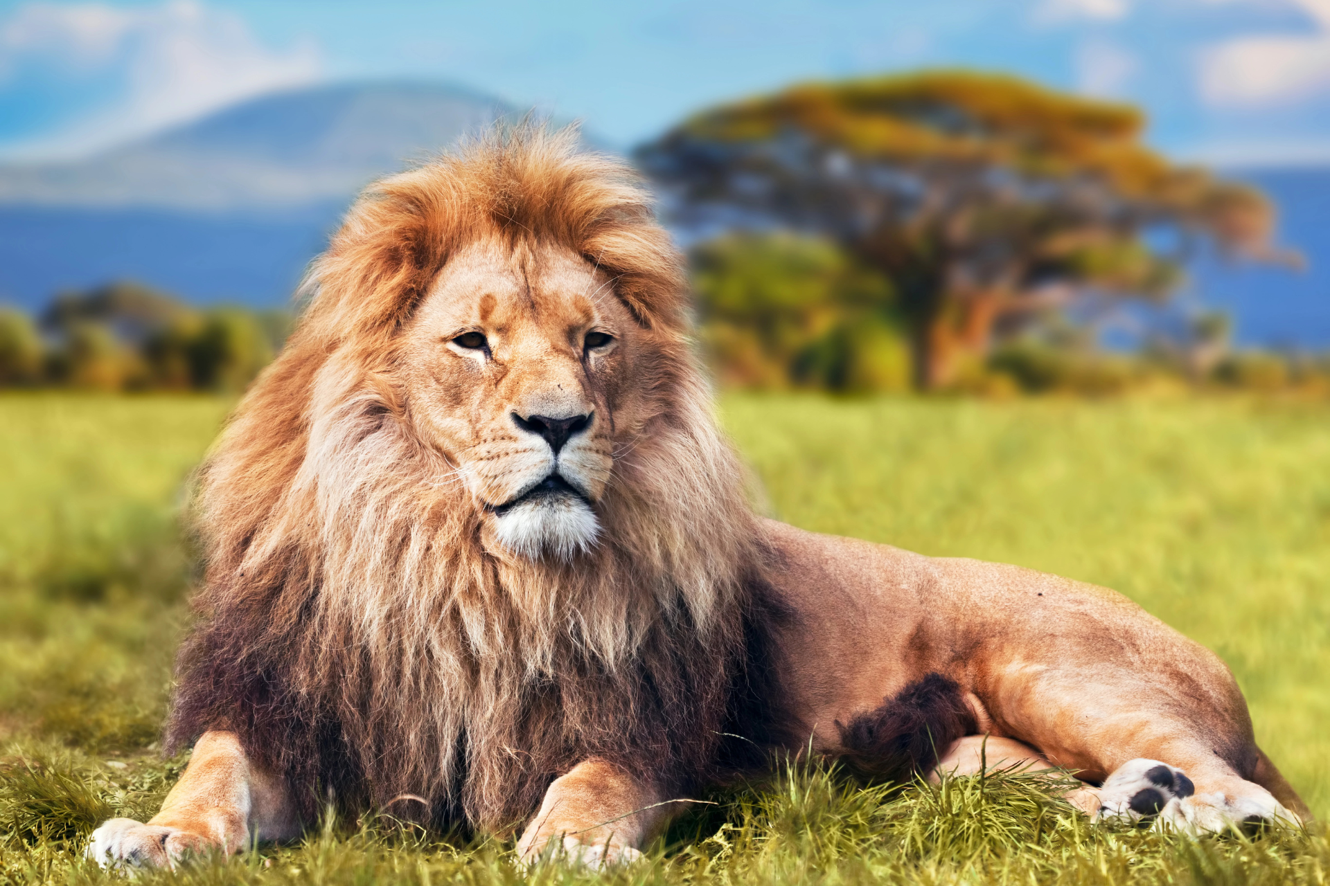 HOW TO BECOME FEARLESS?