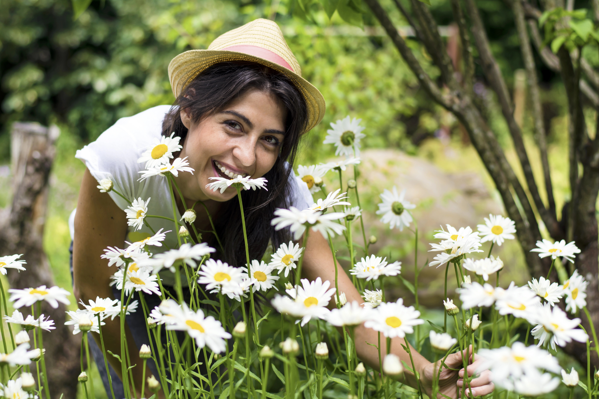 THE POWER OF INNOCENCE