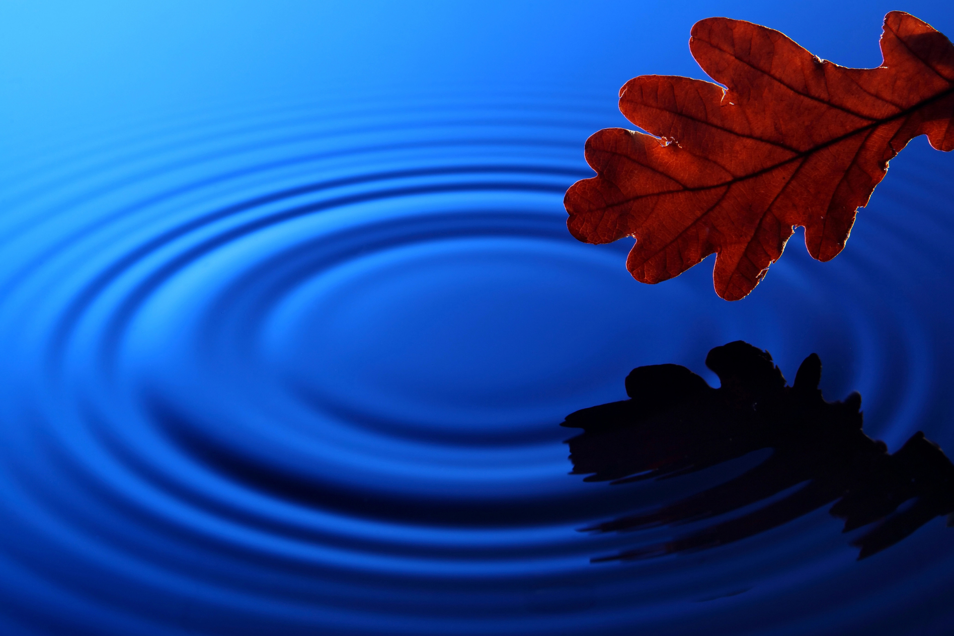 CHRIST AND GURUSHAKTI